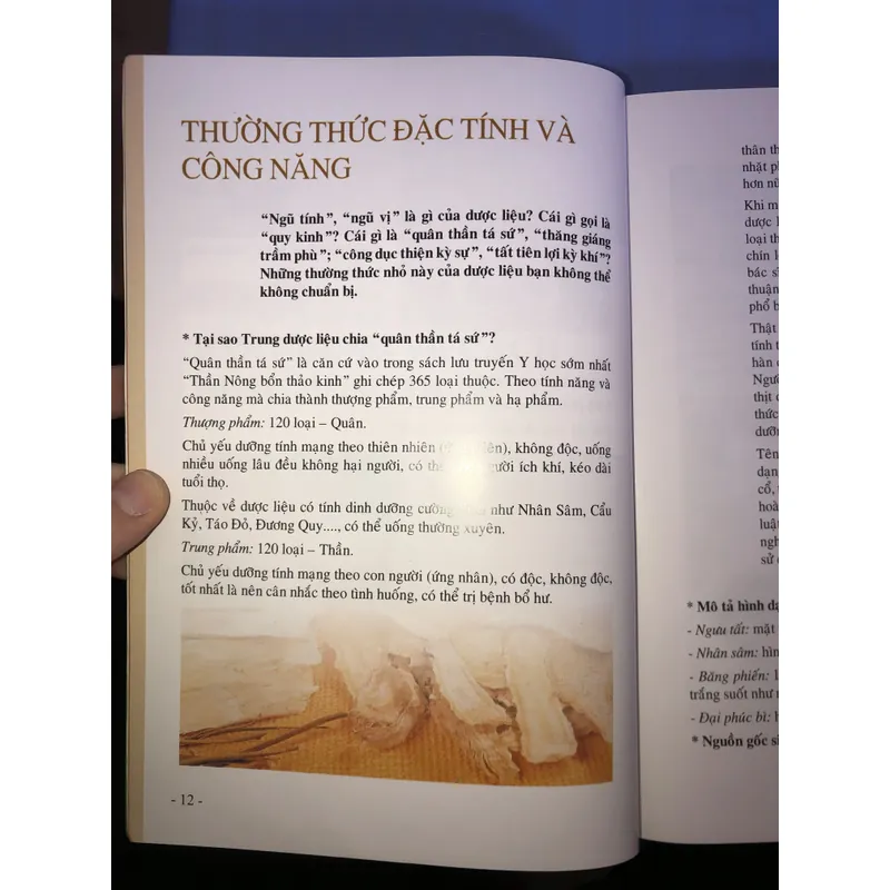 Nguyên liệu đông dược thường thức toàn tập  686993