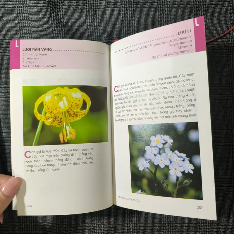 [Bìa cứng] Từ điển tranh về các loài hoa - Lê Quang Long 590816