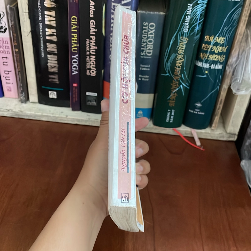 II Tiểu Thuyết: Cơ Hội Của Chúa - Nguyễn Việt Hà - 1999 539268