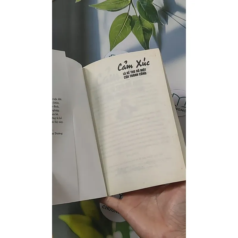 Cảm xúc là kẻ thù số một của thành công - Lê Thẩm Dương 688523