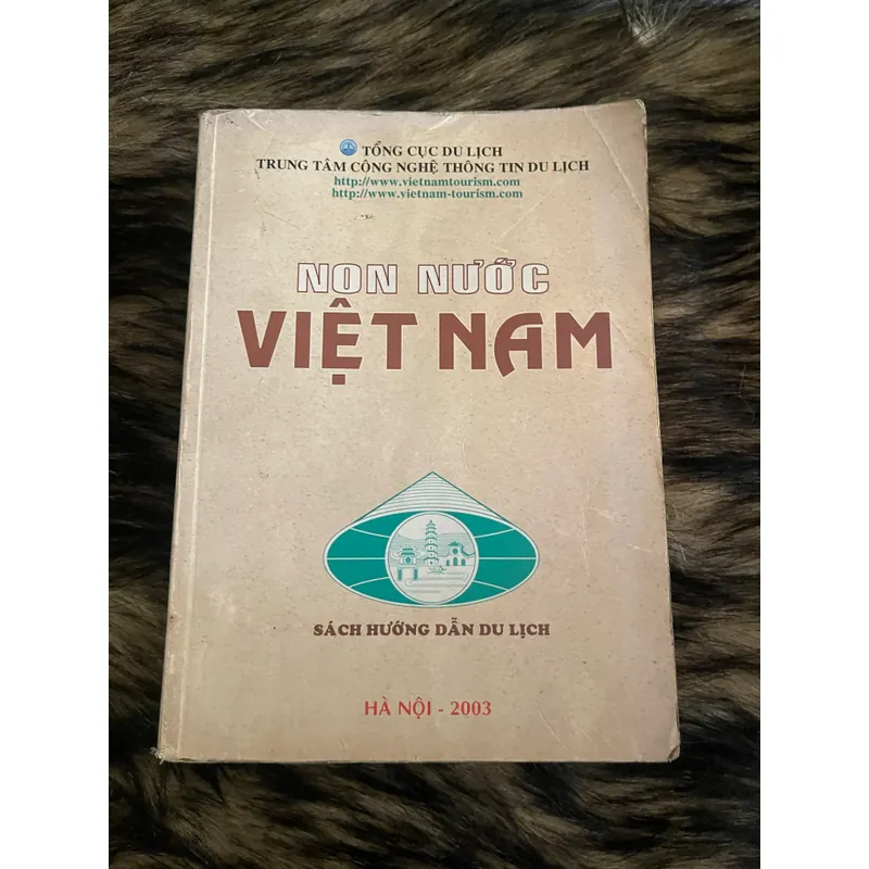 Non nước việt Nam  592982
