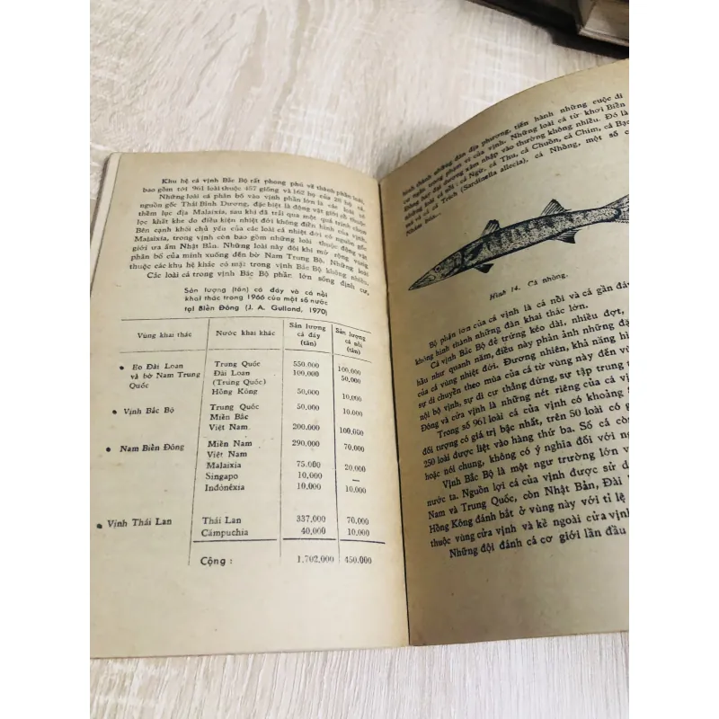 NGUỒN SINH VẬT BIỂN ĐÔNG 956906