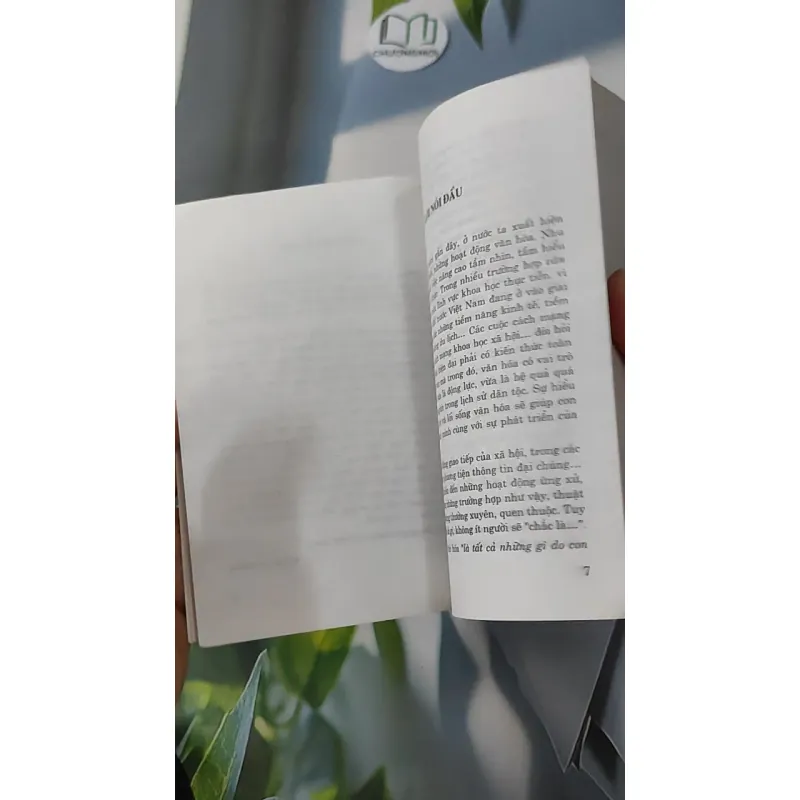 Cơ Sở Văn Hóa Việt Nam - Trần Diễm Thúy 928535