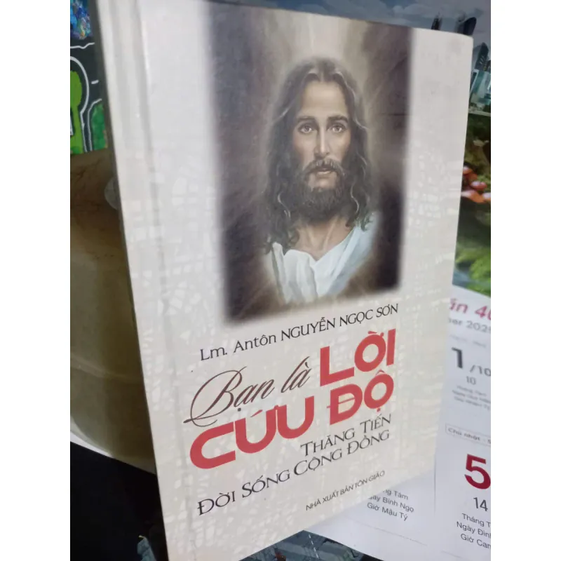 bạn là lời cứu độ sách công giáo 593464