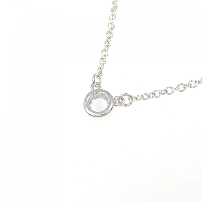 Dây chuyền Tiffany By The Yard - Hàng hiệu Authentic 840768