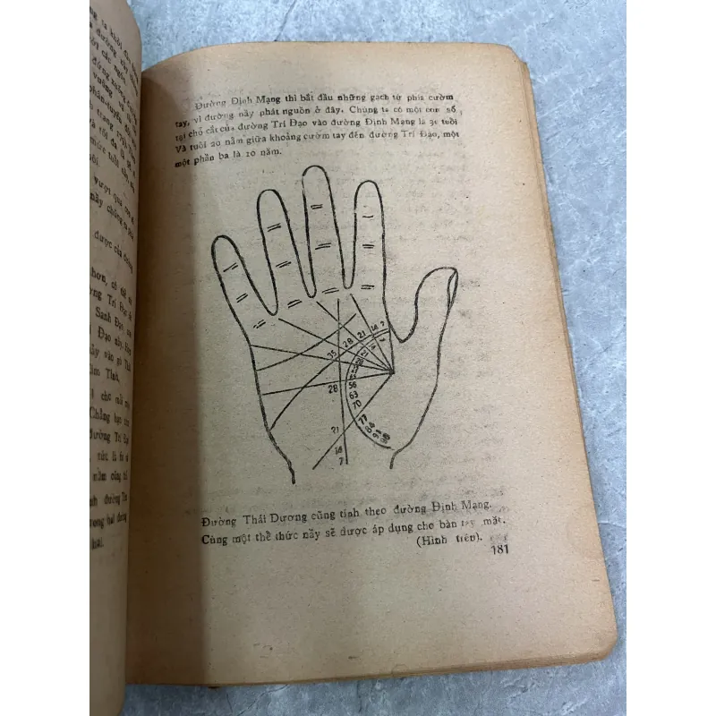 KHÁM PHÁ NHỮNG BÍ MẬT CỦA BÀN TAY - JOSEF RANALD 797442