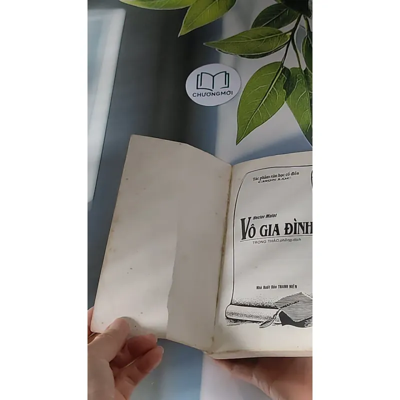 Vô Gia Đình (2001) - Hector Malot 607676