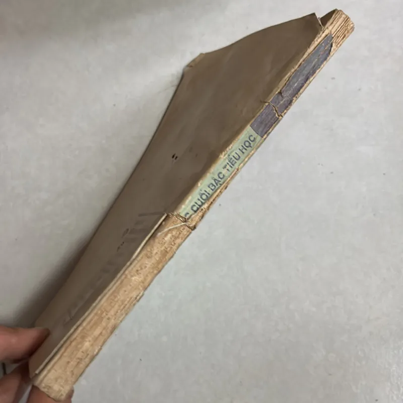 50 bài văn được trao giải toàn quốc cuối bậc tiểu học - 1995s 783648