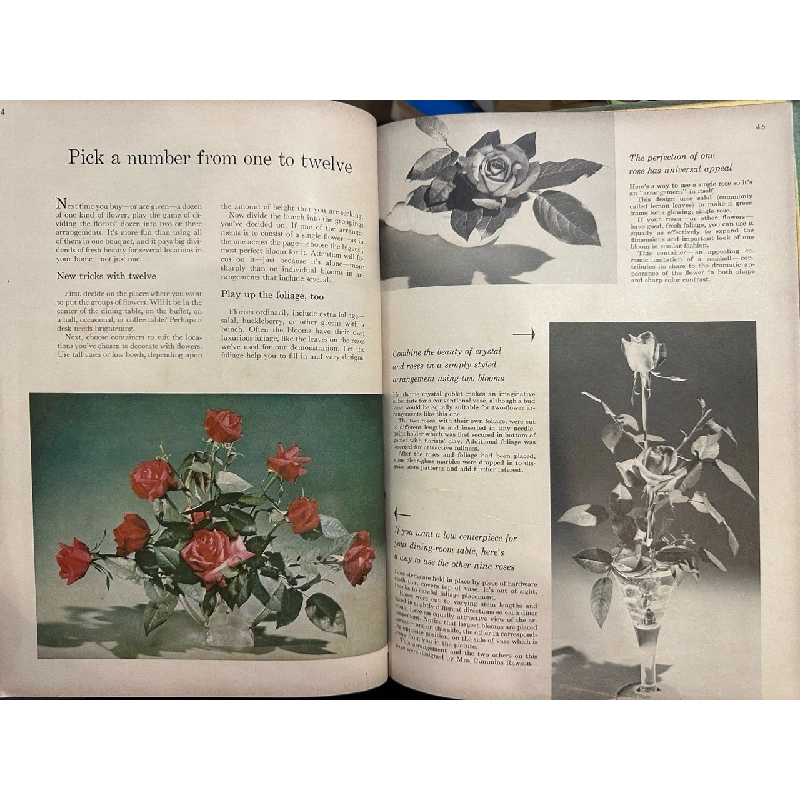 Flower Arranging 999622