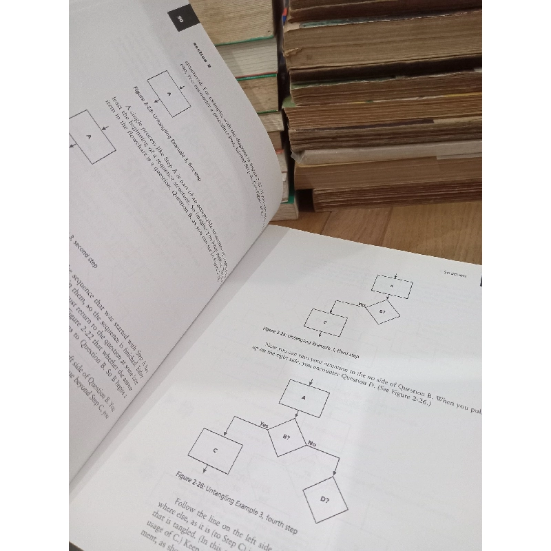 A guide to programming logic and design - Joyce Farrell 790217