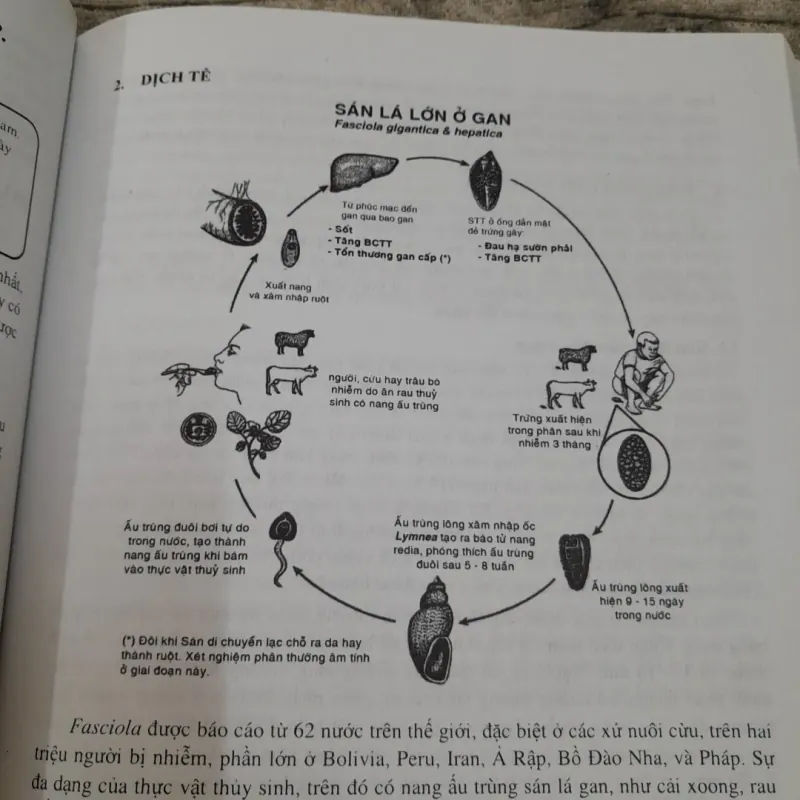 KÝ SINH TRÙNG Y HỌC. Bậc ĐH. ThS Bác sỹ Nhữ Thị Hoa. 787996