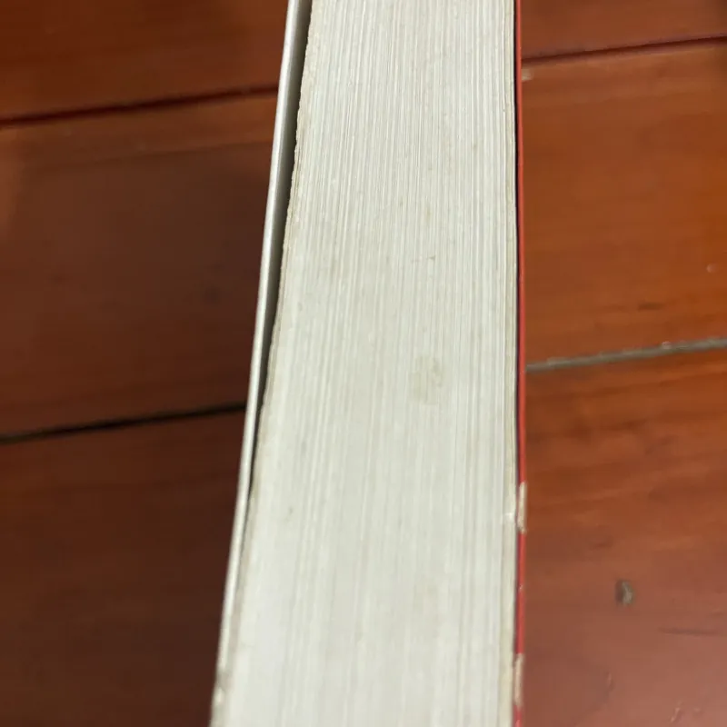 Con sư tử vàng Pamela Haines 960233