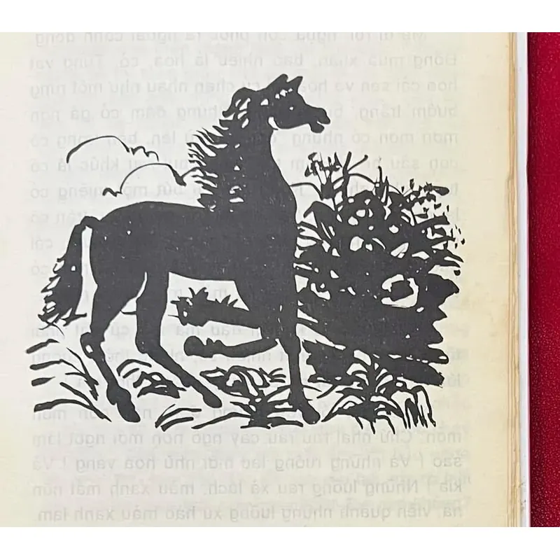 Chú Bé Nhặt Bông Gạo - Ngô Quân Miện 589088