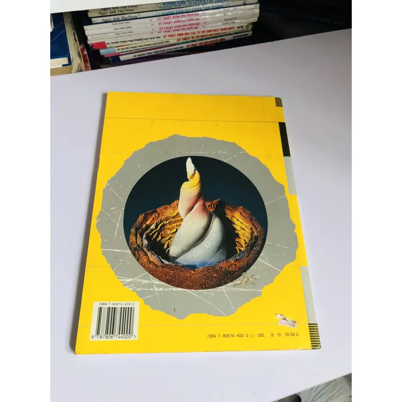 📘 陶艺设计 (Sách về thiết kế gốm sứ – tiếng Trung) 601397