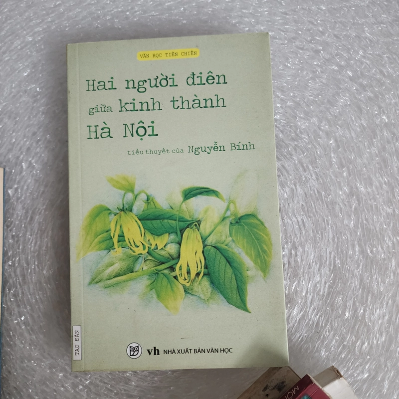Hai người điên giữa kinh thành Hà Nội | Nguyễn bính 526120