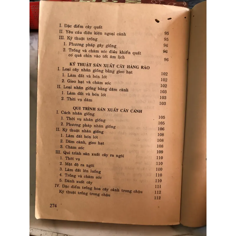 Trồng hoa cây cảnh trong gia đình - Nguyễn Huy Trí - Đoàn Văn Lư 1001807