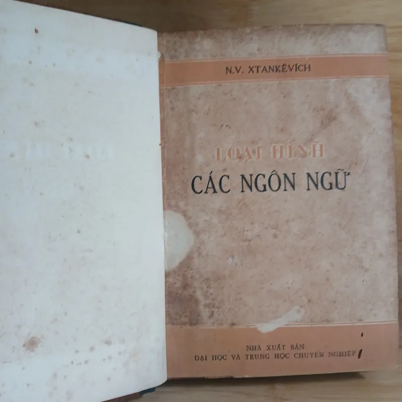 Loại Hình Các Ngôn Ngữ & Nghiên Cứu Về Chữ Nôm 736945