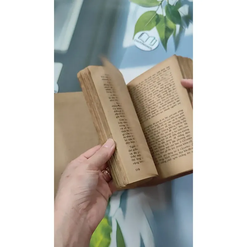 [XƯA] Jenny Ghechac 1 (1986) - Theodor Dreiser 776082