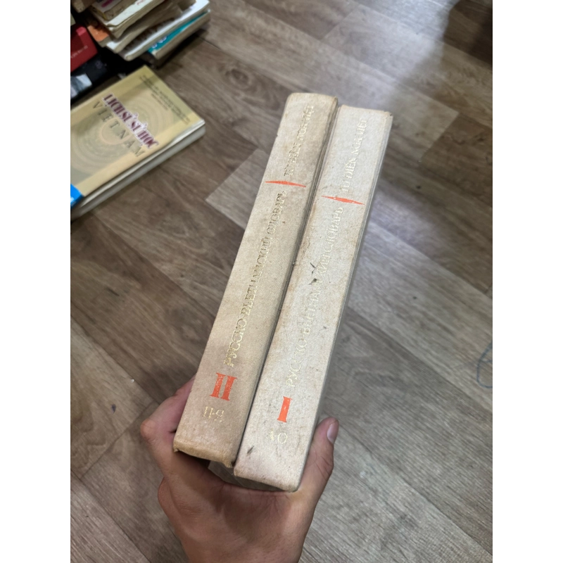 Từ điển nga việt 530944