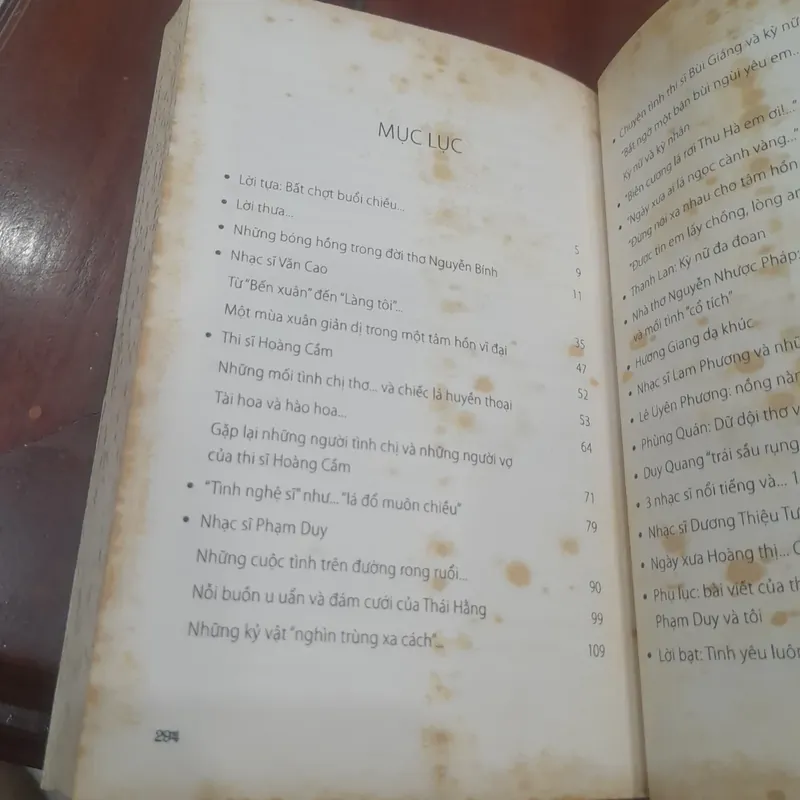 Hà Đình Nguyên - CHUYỆN TÌNH NGHỆ SĨ 720537