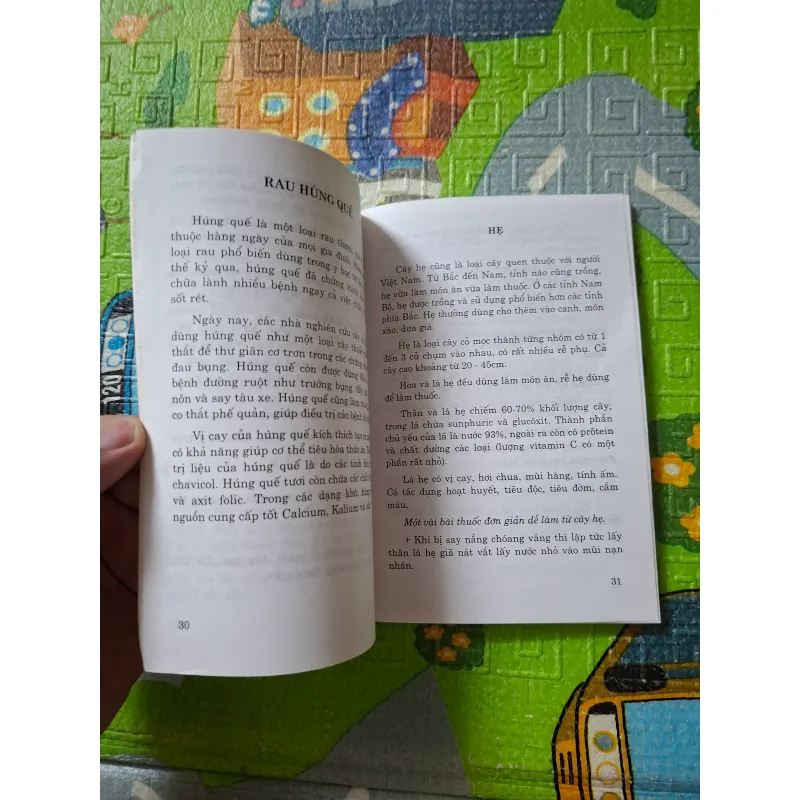 Rau, hoa quả thực phẩm và chữa bệnh 1023270