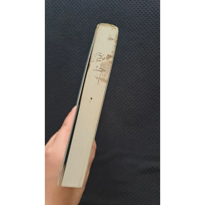 Em sẽ đến cùng cơn mưa - Ichikawa Takuji  1042113