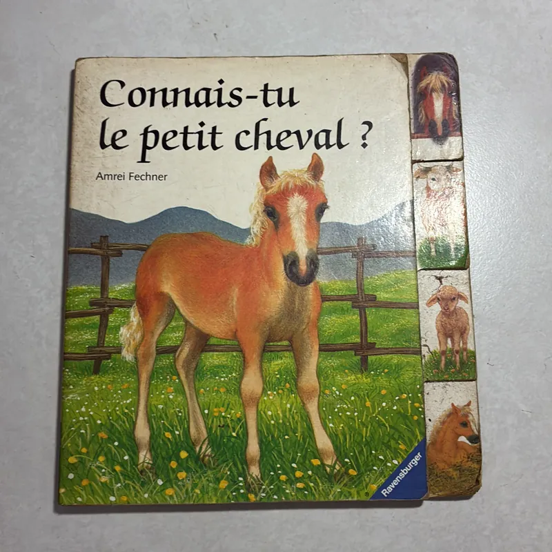 Connais-tu le petit cheval? 722308
