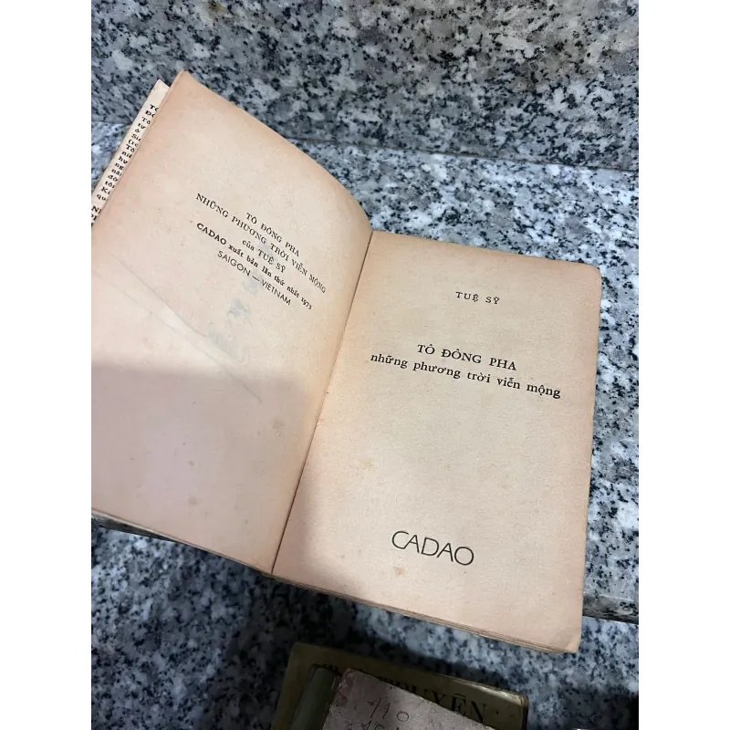 TÔ ĐÔNG PHA NHỮNG PHƯƠNG TRỜI VIỄN MỘNG - TUỆ SỸ 1005994