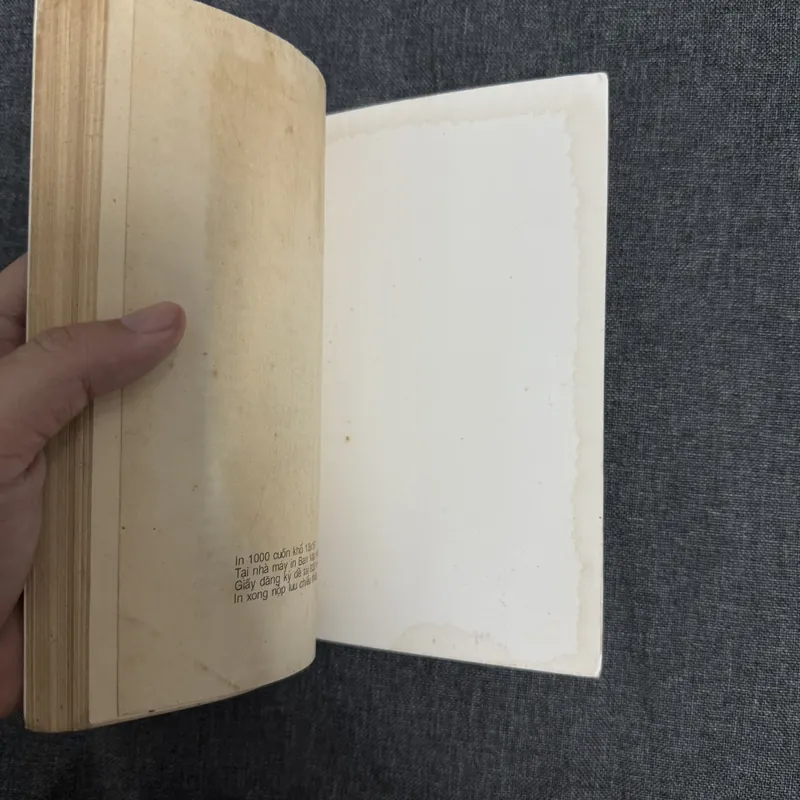 Sách Mưa nguồn - Bùi Giáng (1993) 739075