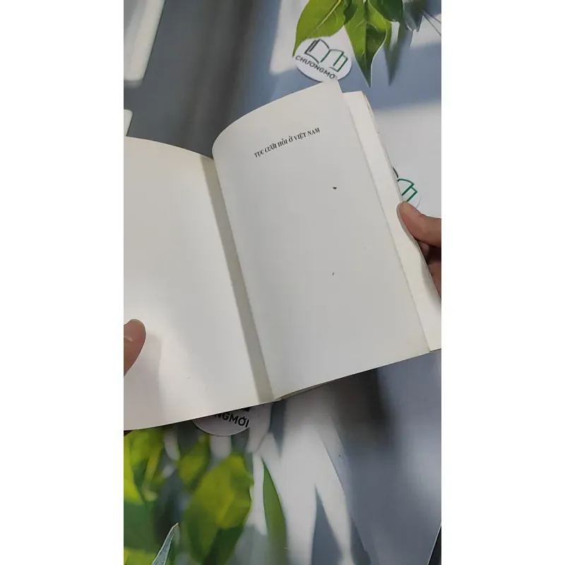 Tục Cưới Hỏi Ở Việt Nam - Bùi Xuân Mỹ - Phạm Minh Thảo 776168