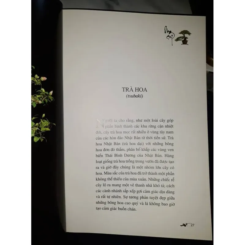 bonsai - Kunio Kobayashi 604214