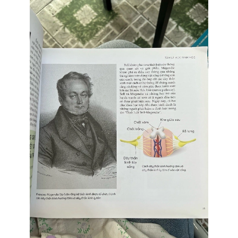 Tâm lý học tất cả những điều cần biết để thông thạo bộ môn này - Alan Porter ( Hoàng Đức Long dịch ) 330379