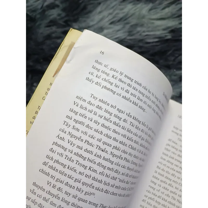 Lịch sử nội chiến ở Việt Nam từ 1771 đến 1802 (Tạ Chí Đại Trường) 700565