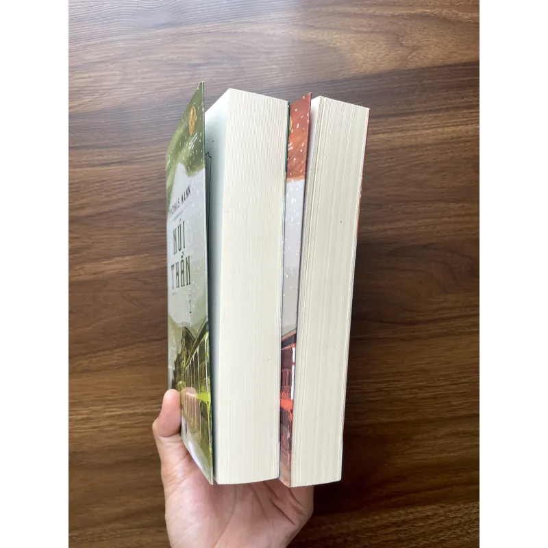 Núi Thần - Thomas Mann 1005483