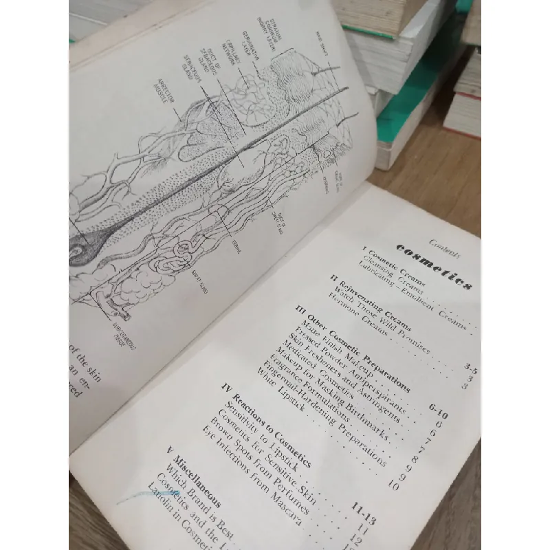 The look you like - Linda Allen 703756