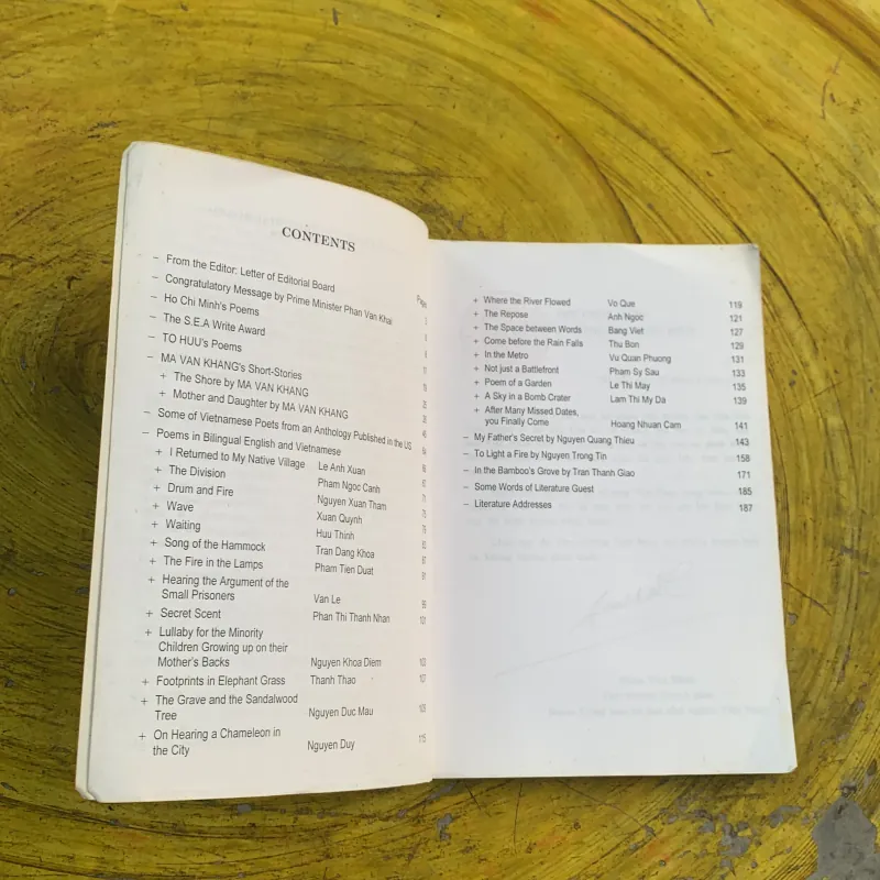 THE VIETNAM LITERATURE REVIEW  787171