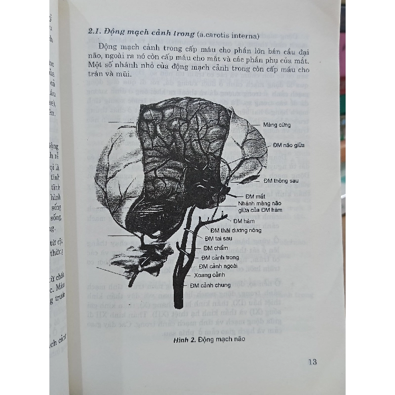 Bệnh mạch máu não và tủy sống - PGS.TS. Nguyễn Xuân Thản 799375