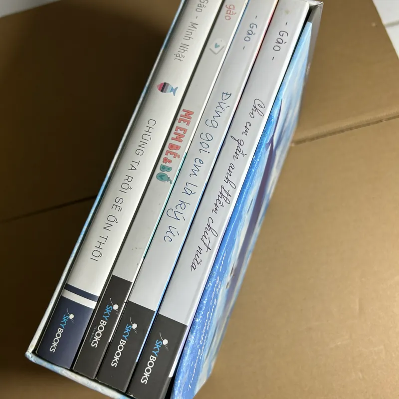 Bộ Sách 10 Năm Hành Trình Từ Cô Đơn Đến Hạnh Phúc - Gào box 5 quyển 573792