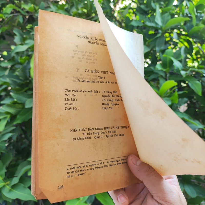 Cá Biển Việt Nam - The Marine Fishes Of VietNam - Tập 1 526446