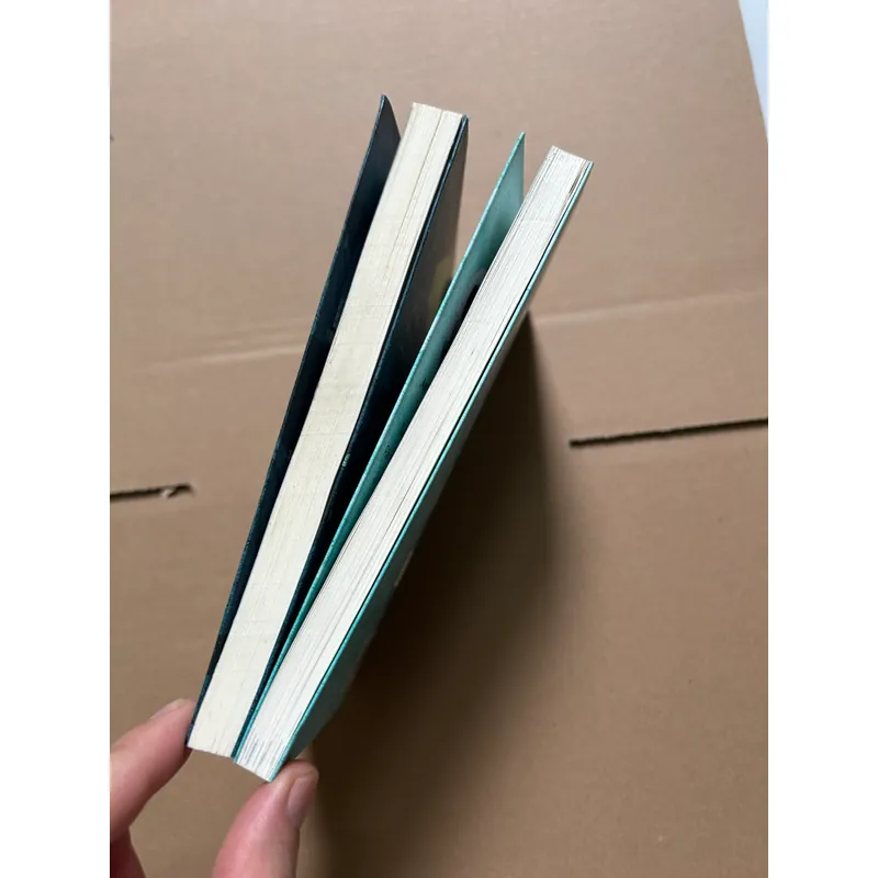 Chưa kịp lớn đã phải trưởng thành (bộ 2 quyển) 605206