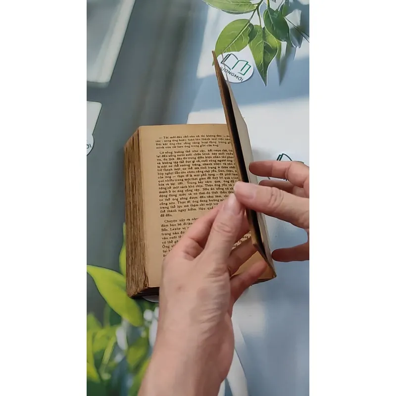 [XƯA] Jenny Ghechac 1 (1986) - Theodor Dreiser 776082