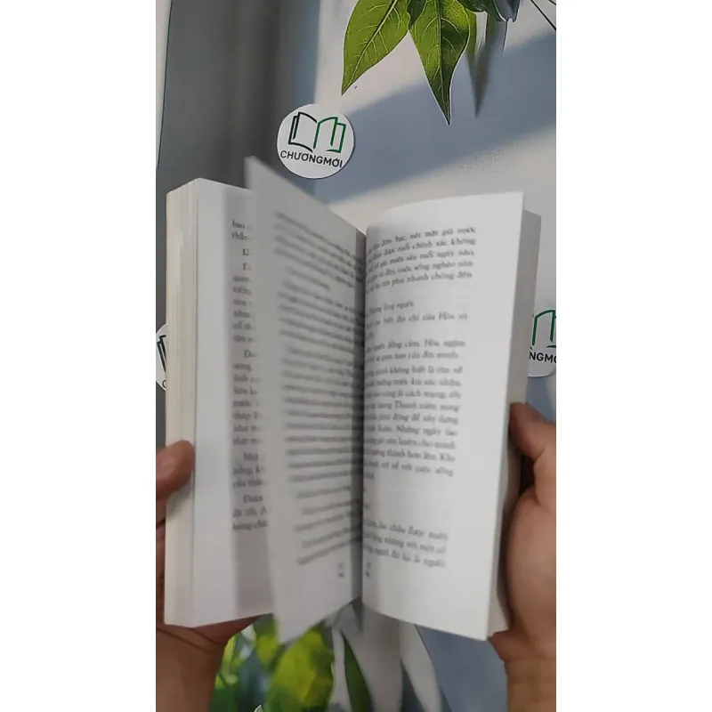 Hương xuân ngọt ngào - Hàng Châu 798388