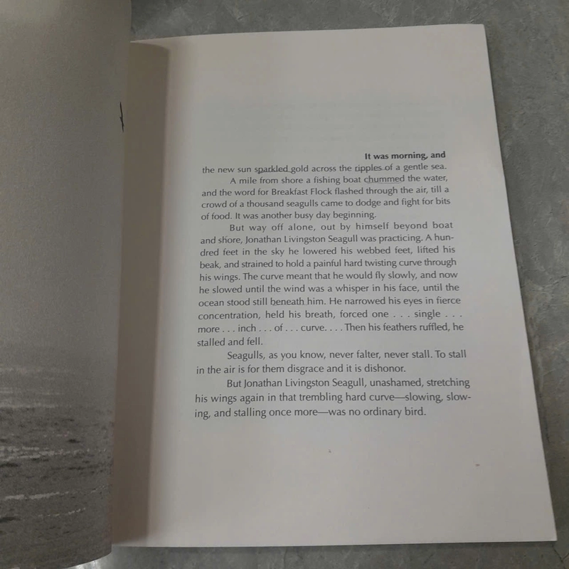 JONATHAN LIVINGSTON SEAGULL - RICHARD BACH 538932