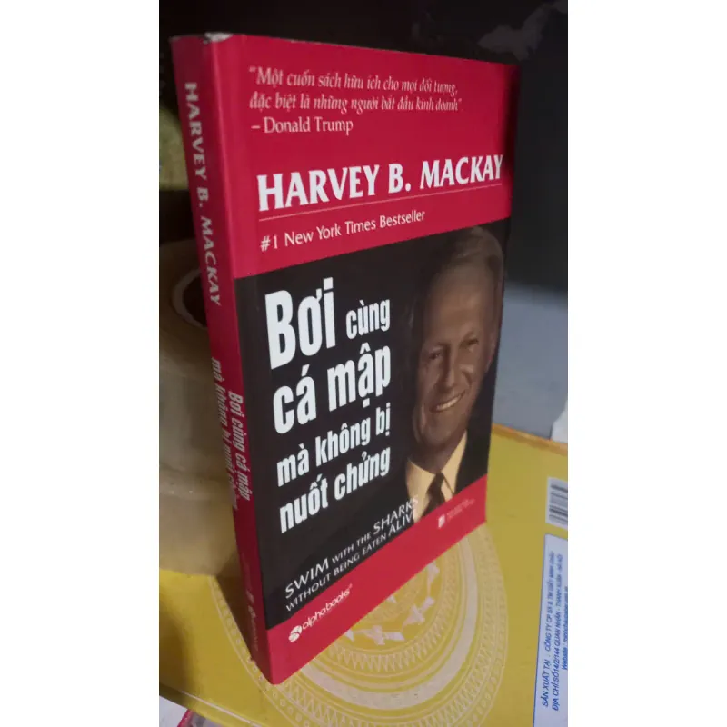 bơi cùng cá mập 973396