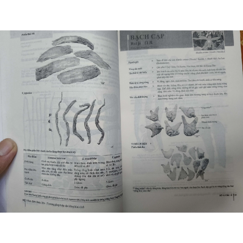 Remake Nhận diện được liệu - 547 trang (Sách Y học - Sức khỏe - Thể thao) ANTQ1304 1012654
