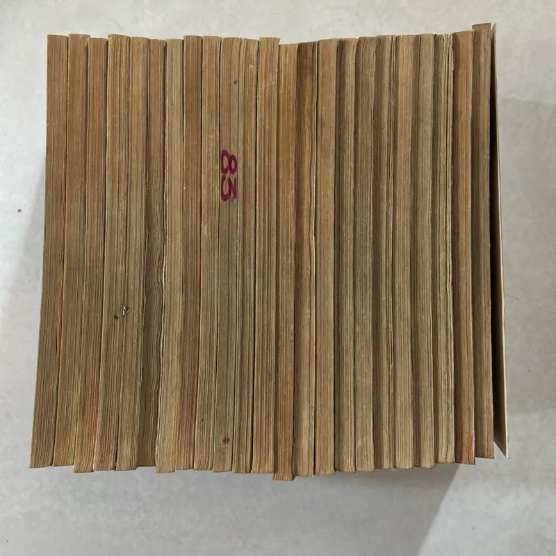 RAI 23/33 tập - Joji Manabi 975109