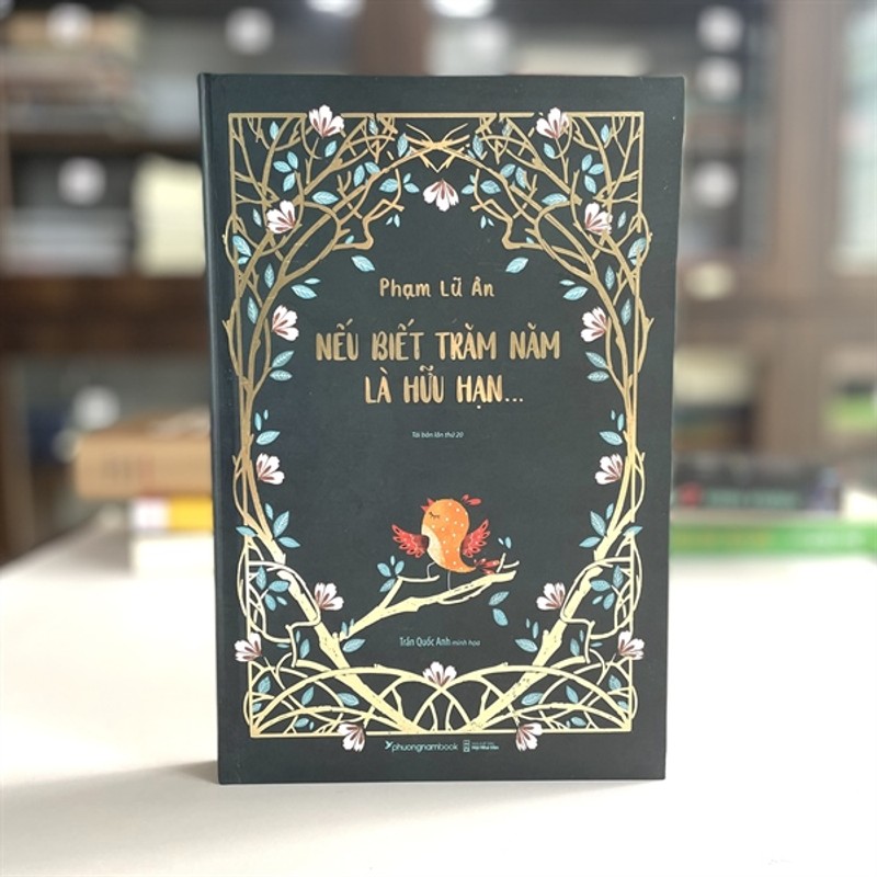 Nếu Biết Trăm Năm Là Hữu Hạn  - Phạm Lữ Ân 192588