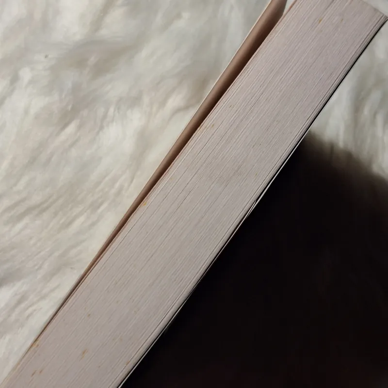 Polybius - The Rise of the Roman Empire 957151