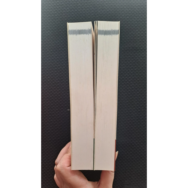 (Danh tác Việt Nam) Box Tuyển tập  Vũ Trọng Phụng (full 2 quyển) 496449