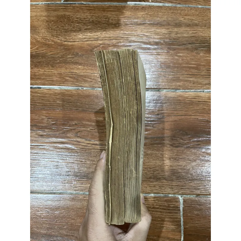 Việt Nam Sử Lược bộ 2 quyển - Trần Trọng Kim (6) 703736